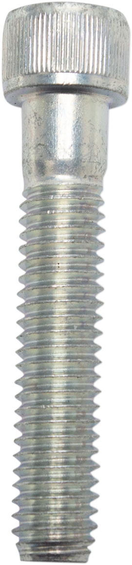 Socket Head Cap Screw | Socket Head Cap Screw - 3/8-16 X 2"