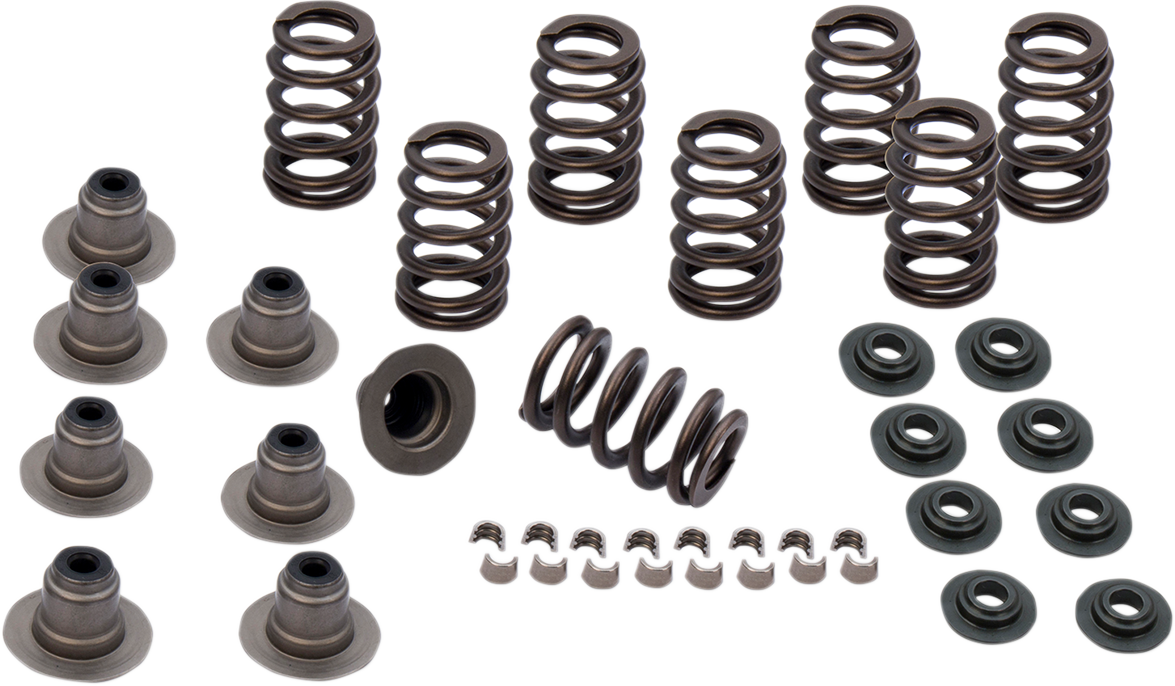 0.605" Heavy Duty Valve Spring Kit | Valve Spring Kit - 0.605" - Heavy Duty - M8