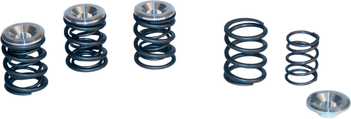Valve Spring Kit | Valve Spring Kit - 0.550" Lift - Panhead | Shovelhead Engines '48-'84