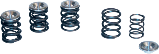 Valve Spring Kit | Valve Spring Kit - 0.550" Lift - Panhead | Shovelhead Engines '48-'84
