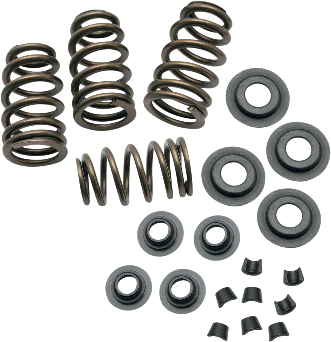 0.650" Sidewinder® Valve Spring Kit | Valve Spring Kit - 0.650" - Sidewinder® - Twin Cam '99-'04 | XL '86-'03