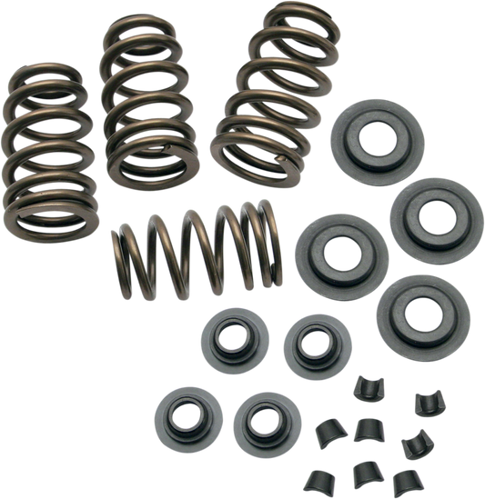 0.650" Sidewinder® Valve Spring Kit | Valve Spring Kit - 0.650" - Sidewinder® - Twin Cam '99-'04 | XL '86-'03