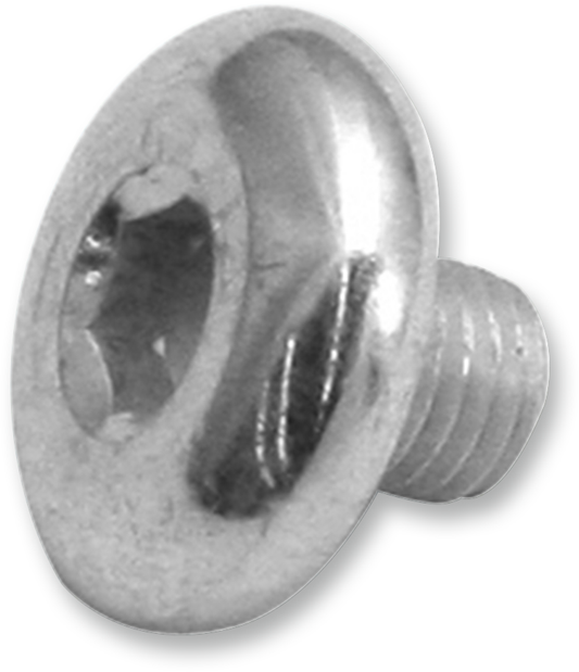 Replacement Air Cleaner Screw | Replacement Air Cleaner Screw - Breather Screw - 5/16"