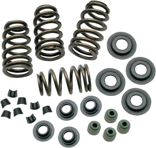 0.650" Sidewinder® Valve Spring Kit | Valve Spring Kit - 0.650" - Sidewinder® - 88"/96"/103" Twin Cam '05-'17